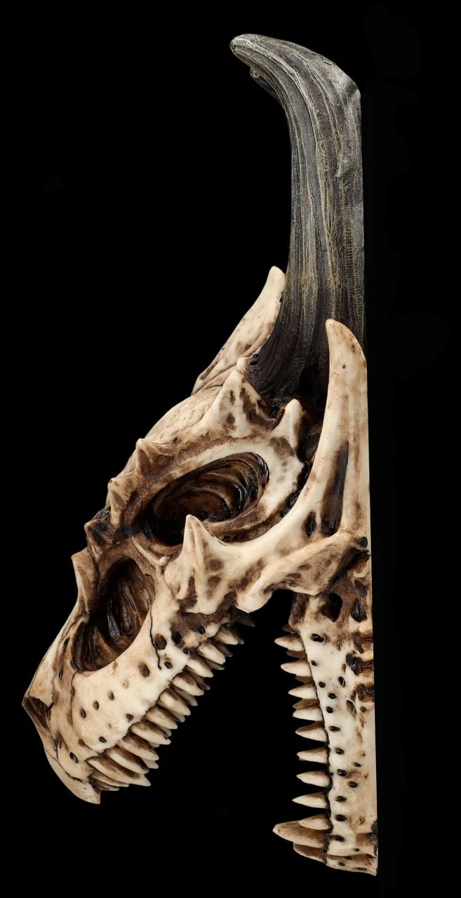 Totenkopf Wanddeko - Fieser Drachen Schädel 8 Totenkopf Wanddeko - Fieser Drachen Schädel – Bild 6