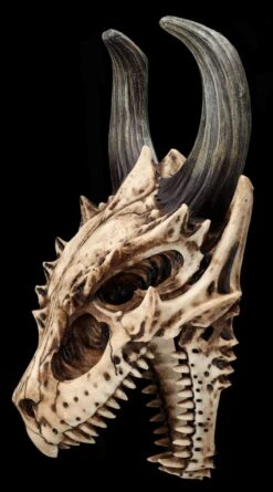 Totenkopf Wanddeko - Fieser Drachen Schädel 12 Totenkopf Wanddeko - Fieser Drachen Schädel -Figurenmodell Geschäft 2D FS26191 Totenkopf Figur Fieser Drachen Sch del 6 1280x1280