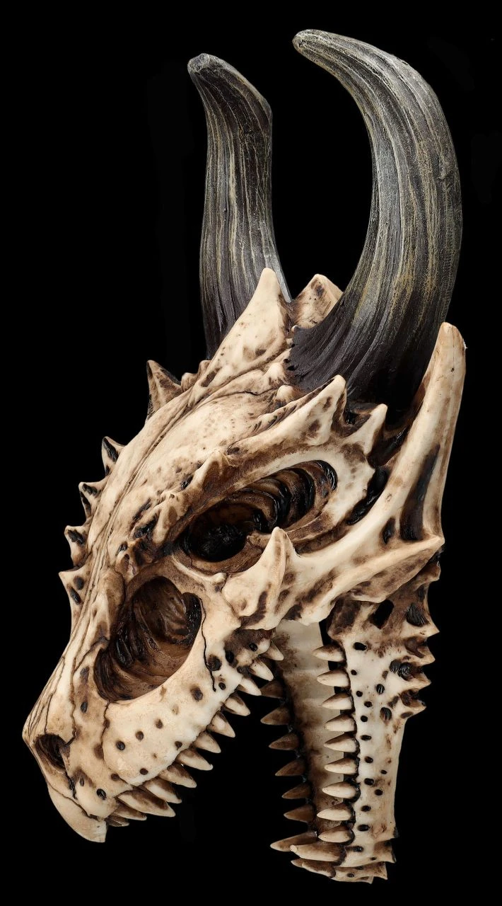 Totenkopf Wanddeko - Fieser Drachen Schädel 5 Totenkopf Wanddeko - Fieser Drachen Schädel – Bild 3
