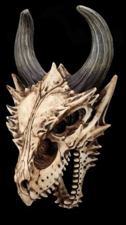 Totenkopf Wanddeko - Fieser Drachen Schädel 14 Totenkopf Wanddeko - Fieser Drachen Schädel -Figurenmodell Geschäft 2D FS26191 Totenkopf Figur Fieser Drachen Sch del 8 1280x1280