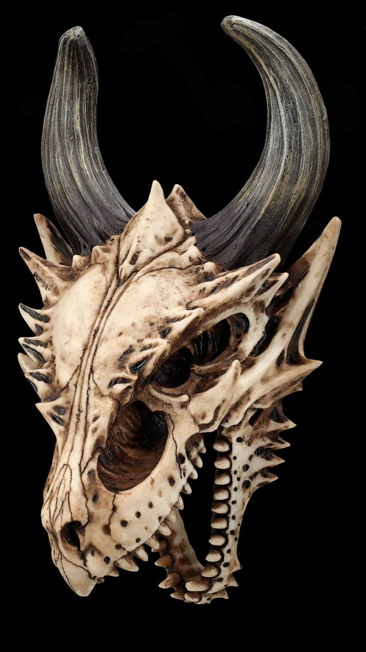 Totenkopf Wanddeko - Fieser Drachen Schädel 7 Totenkopf Wanddeko - Fieser Drachen Schädel – Bild 5