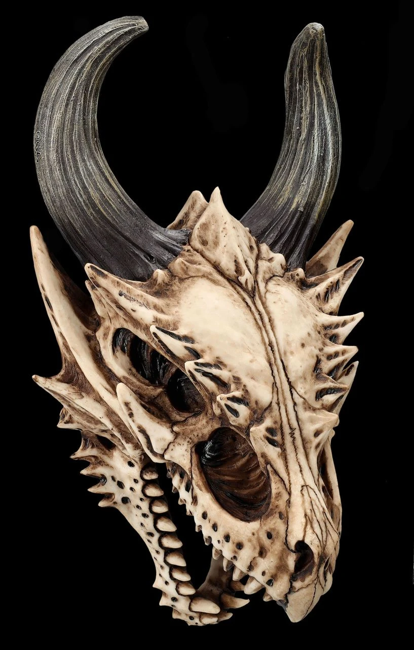 Totenkopf Wanddeko - Fieser Drachen Schädel 3 Totenkopf Wanddeko - Fieser Drachen Schädel