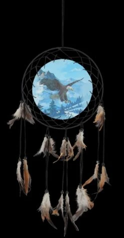 Traumfänger Mit Adler Und Federn