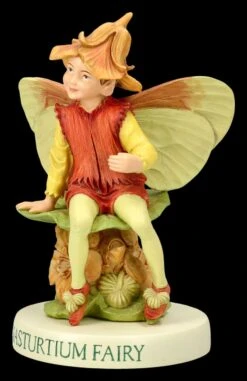 Elfen Figur - Kapuzinerkresse Fee 15 Elfen Figur - Kapuzinerkresse Fee -Figurenmodell Geschäft 2D FS26590 Elfen Figur Kresse Fee 7 1280x1280