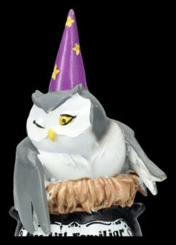 NEMESIS NOW Eulen Figur - My Lil Familiar - Alden -Figurenmodell Geschäft 2D FS26689 Eulen Figur My lil Familiar Alden 1 1280x1280