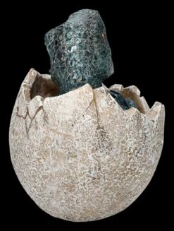 Dinosaurier Figur Schlüpft Aus Ei - Raptors Birth -Figurenmodell Geschäft 2D FS26717 Dinosaurier Figur schlupft aus Ei Raptors Birth 4 1280x1280