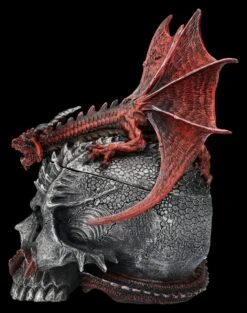 Spiral Drache & Totenkopf Schatulle - Serpent Infection -Figurenmodell Geschäft 2D FS26890 Drache Totenkopf Schatulle Serpent Infection 2 1280x1280