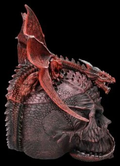 Spiral Drache & Totenkopf Schatulle - Serpent Infection -Figurenmodell Geschäft 2D FS26890 Drache Totenkopf Schatulle Serpent Infection 4 1280x1280