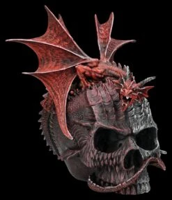 Spiral Drache & Totenkopf Schatulle - Serpent Infection -Figurenmodell Geschäft 2D FS26890 Drache Totenkopf Schatulle Serpent Infection 5 1280x1280