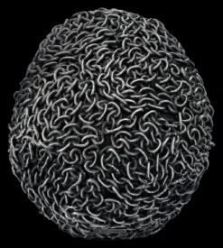 Totenkopf Figur - Silberne Ketten -Figurenmodell Geschäft 2D FS26932 Totenkopf Figur Silberne Ketten 3 1280x1280