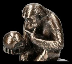 Affe Mit Schädel - Hugo Rheinhold -Figurenmodell Geschäft 2D KS3216 Affe mit Schaedel Hugo Rheinhold 2 1280x1280