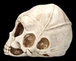 Alien Totenkopf -Figurenmodell Geschäft 2D ML10526 Ersatzbilder 3 1280x1280