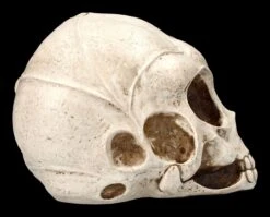 Alien Totenkopf -Figurenmodell Geschäft 2D ML10526 Ersatzbilder 5 1280x1280