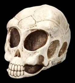 Alien Totenkopf -Figurenmodell Geschäft 2D ML10526 Ersatzbilder 7 1280x1280