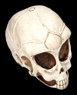 Alien Totenkopf -Figurenmodell Geschäft 2D ML10526 Ersatzbilder 8 1280x1280