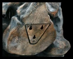 Totenkopf - Tyrannosaurus Rex - Groß -Figurenmodell Geschäft 2D ML11827 Totenkopf Tyrannosaurus Rex gross 3 1280x1280