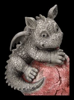 Garten Figur - Drache Auf Blumentopf Links -Figurenmodell Geschäft 2D ML7679 Ersatzbilder 7 1280x1280