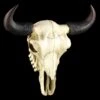 Amerikanischer Büffelschädel -Figurenmodell Geschäft 3246 0 buffalo skull 1280x1280