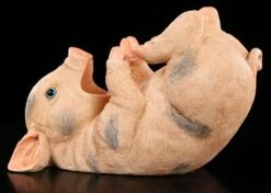 Schwein Als Flaschenhalter -Figurenmodell Geschäft 4617 4 bottle holder 4 1280x1280