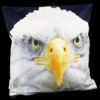 Kissenbezug - Weißkopf-Seeadler Kopf 2 Kissenbezug - Weißkopf-Seeadler Kopf -Figurenmodell Geschäft 6415 0 kissen adler 1280x1280
