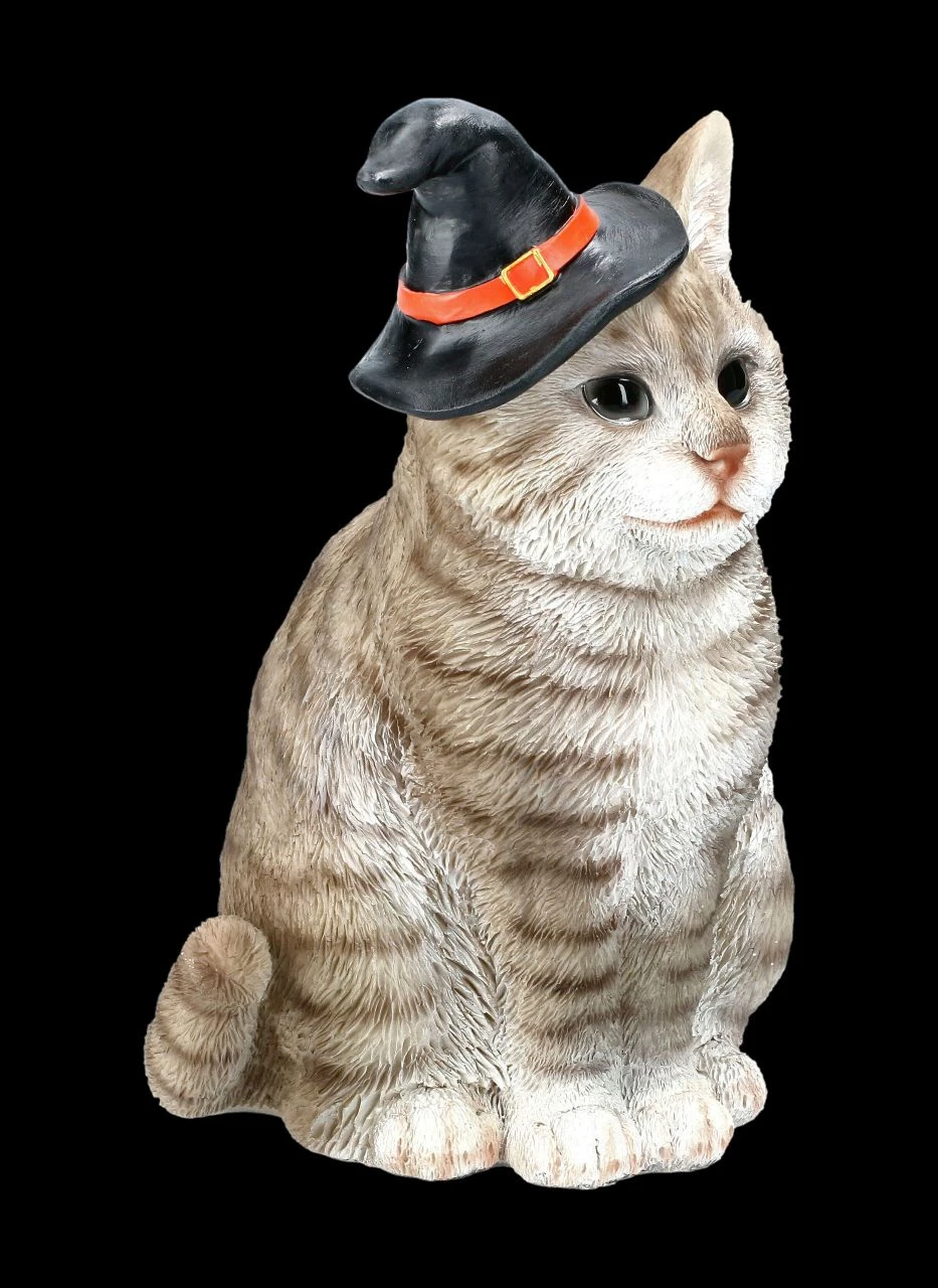 Graue Hexen-Katze Mit Zauberhut 4 Graue Hexen-Katze Mit Zauberhut – Bild 2