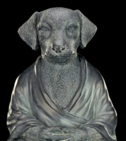 Buddha Figur - Meditierender Hund -Figurenmodell Geschäft Buddha Figur Meditierender Hund 9 1280x1280