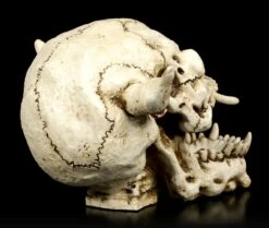 Dämonen Schädel Mit Ohrring 11 Dämonen Schädel Mit Ohrring -Figurenmodell Geschäft Daemonenschaedel Mit Ohrring 4X0EPmM4Qfv7ZH 1280x1280