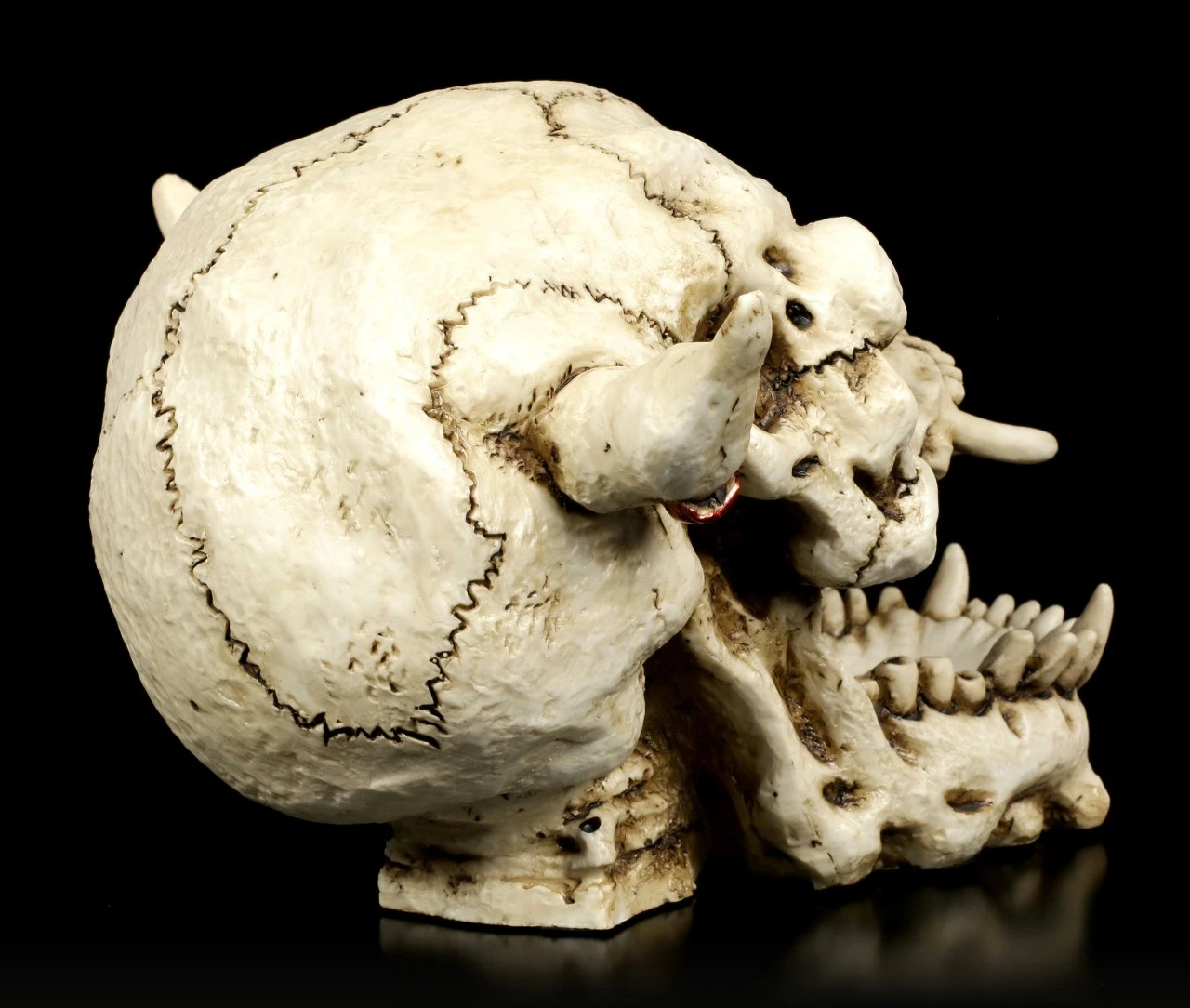 Dämonen Schädel Mit Ohrring 7 Dämonen Schädel Mit Ohrring – Bild 5