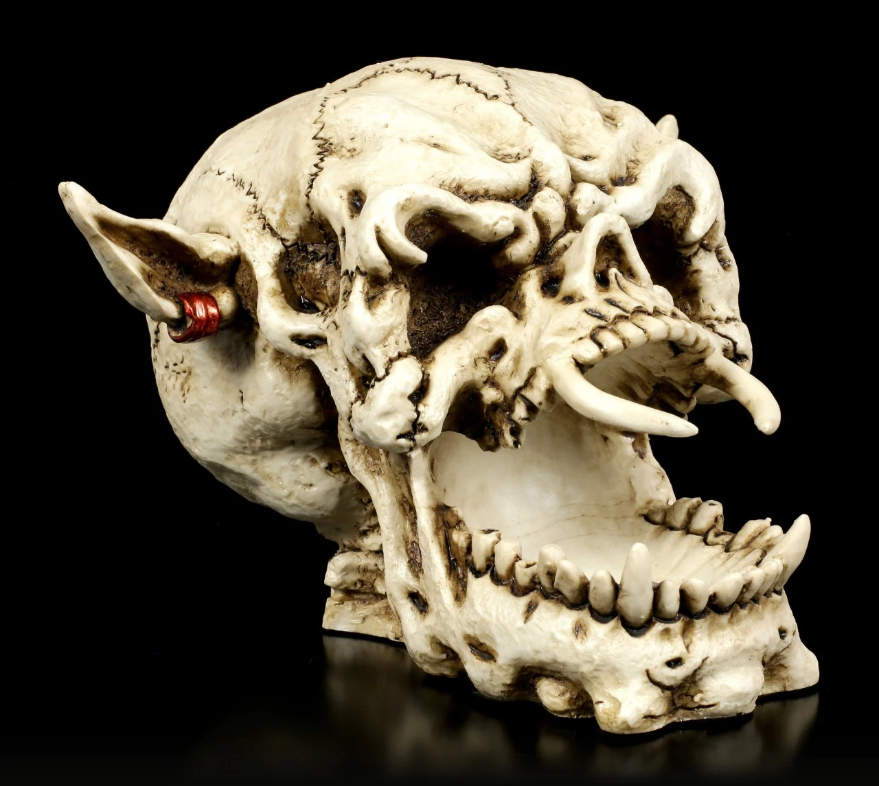 Dämonen Schädel Mit Ohrring 3 Dämonen Schädel Mit Ohrring