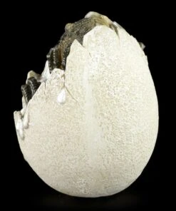 Dinosaurier Ei - Schlüpfend I -Figurenmodell Geschäft Dinosaurier Ei Schluepfend 3 1280x1280