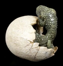 Dinosaurier Figur Schlüpft Aus Ei - Raptors Dawn 10 Dinosaurier Figur Schlüpft Aus Ei - Raptors Dawn -Figurenmodell Geschäft Dinosaurier Figur Schluepft Aus Ei Raptors Dawn 3 1280x1280