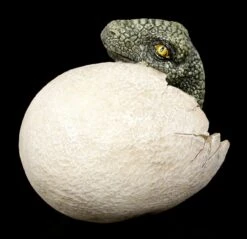 Dinosaurier Figur Schlüpft Aus Ei - Raptors Dawn 11 Dinosaurier Figur Schlüpft Aus Ei - Raptors Dawn -Figurenmodell Geschäft Dinosaurier Figur Schluepft Aus Ei Raptors Dawn 4 1280x1280