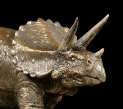 Dinosaurier Figur - Triceratops 14 Dinosaurier Figur - Triceratops -Figurenmodell Geschäft Dinosaurier Figur Triceratops In Steppe 5 1280x1280