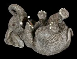 NEMESIS NOW Elefant Als Flaschenhalter -Figurenmodell Geschäft Elefant Als Flaschenhalter 4 1280x1280