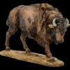 Rinder Figur - Bison -Figurenmodell Geschäft FS20703 Rinder Figur Bison 1 1280x1280
