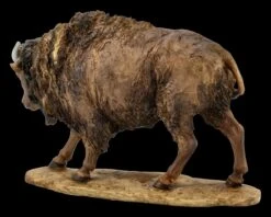 Rinder Figur - Bison 12 Rinder Figur - Bison -Figurenmodell Geschäft FS20703 Rinder Figur Bison 5 1280x1280