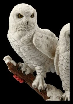 Eulen Figur - Schneeeulen Paar Auf Ast -Figurenmodell Geschäft FS20794 Schneeeulenpaerchen auf Ast stehend 8 1280x1280