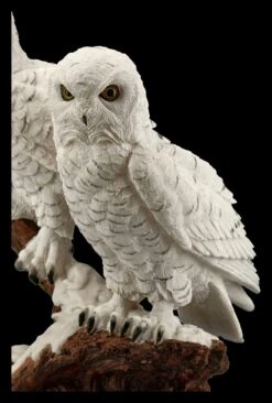 Eulen Figur - Schneeeulen Paar Auf Ast -Figurenmodell Geschäft FS20794 Schneeeulenpaerchen auf Ast stehend 9 1280x1280