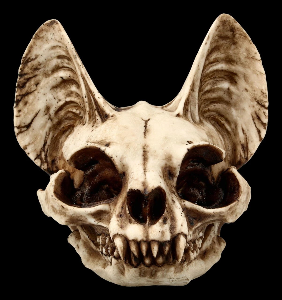 Totenkopf Katze - Bastet Schädel 4 Totenkopf Katze - Bastet Schädel – Bild 2