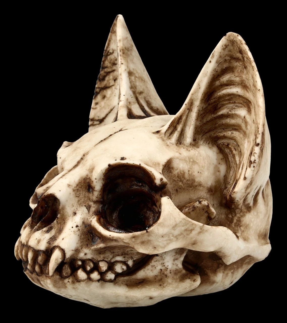 Totenkopf Katze - Bastet Schädel 5 Totenkopf Katze - Bastet Schädel – Bild 3