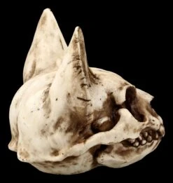Totenkopf Katze - Bastet Schädel 11 Totenkopf Katze - Bastet Schädel -Figurenmodell Geschäft FS21095 Totenkopf Bastet 8 1280x1280