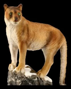 Puma Figur Hält Ausschau -Figurenmodell Geschäft FS21220 Puma Figur auf Ast Ausschau 9 1280x1280