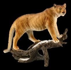 Puma Figur Auf Ast