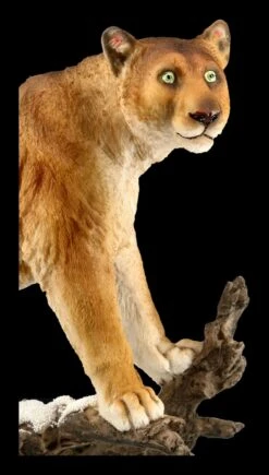 Puma Figur Auf Ast 13 Puma Figur Auf Ast -Figurenmodell Geschäft FS21221 Puma Figur auf Ast 9 1280x1280