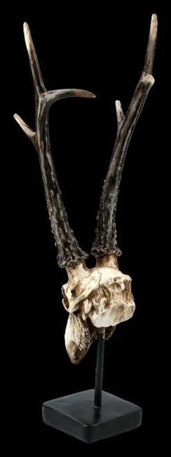 Rehbock Totenkopf Auf Metall Ständer -Figurenmodell Geschäft FS21254 Antilopen Totenkopf auf Metall Staender 5 1280x1280