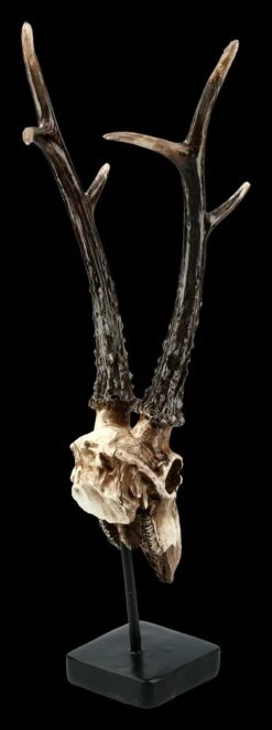 Rehbock Totenkopf Auf Metall Ständer -Figurenmodell Geschäft FS21254 Antilopen Totenkopf auf Metall Staender 7 1280x1280