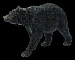 Schwarzbär Figur Gehend 9 Schwarzbär Figur Gehend -Figurenmodell Geschäft FS21628 Schwarzbaer Figur Laufend 4 1280x1280
