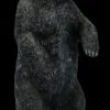 Schwarzbär Figur Aufrecht Stehend 2 Schwarzbär Figur Aufrecht Stehend -Figurenmodell Geschäft FS21652 Schwarzbaer Figur aufrecht Stehend 1u0JcbeDRv5x3m 1280x1280