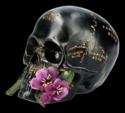 Schwarzer Totenkopf Mit Beschriftung Und Blume -Figurenmodell Geschäft FS21660 Totenkopf mit Blume 3 1280x1280