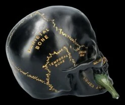 Schwarzer Totenkopf Mit Beschriftung Und Blume -Figurenmodell Geschäft FS21660 Totenkopf mit Blume 8 1280x1280